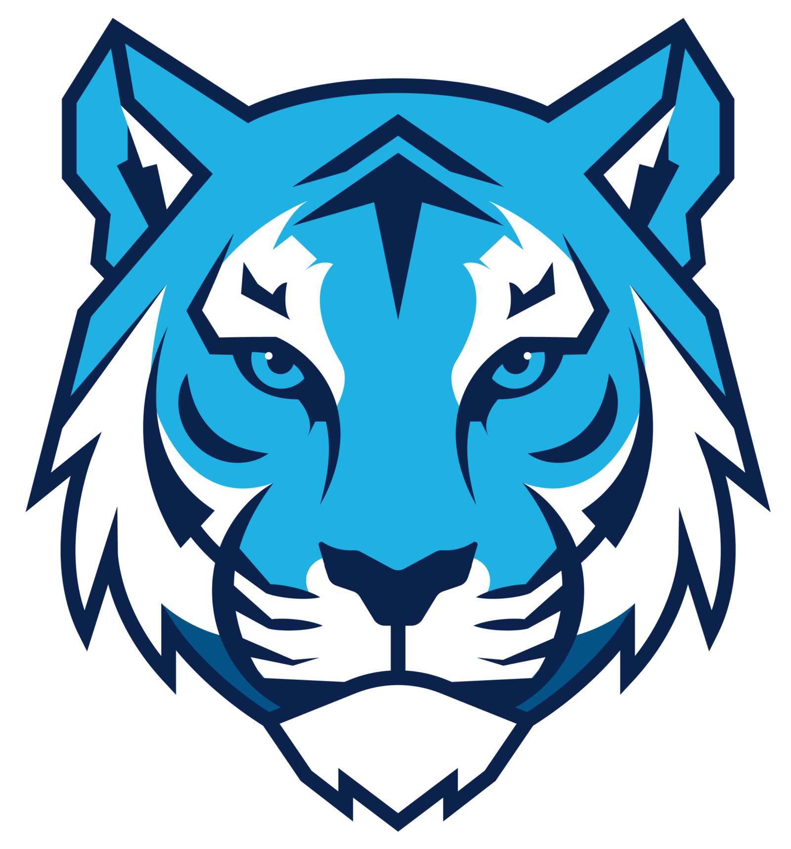 Tigreaux Team Portal